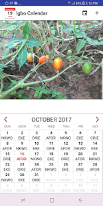 Image 2 for Igbo Calendar