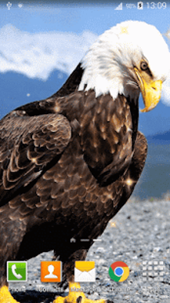 Imagen 3 para Eagle Live Wallpaper HD