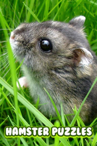Image 0 for Hamster Jigsaw Puzzles - …