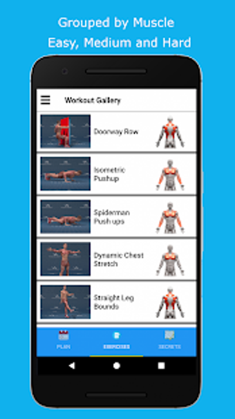 Image 1 for Stronger Back and Shoulde…