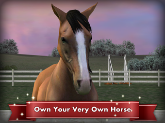 Image 0 for My Horse