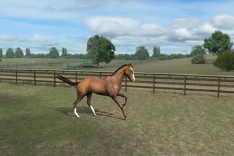 Image 0 for My Horse