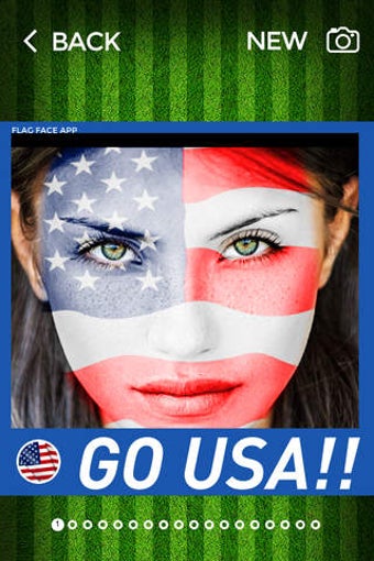 Image 0 for Flag Face