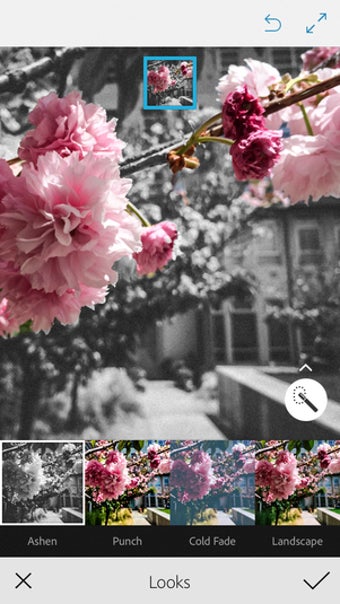 Image 2 for Adobe Photoshop Mix - Cut…