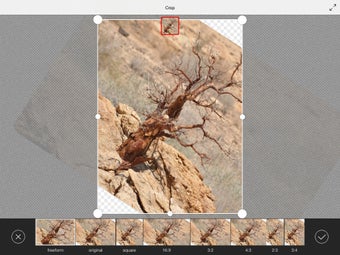 Image 5 for Adobe Photoshop Mix - Cut…