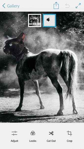 Image 19 for Adobe Photoshop Mix - Cut…