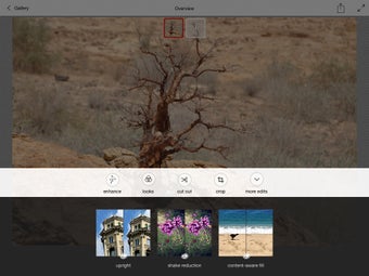Image 15 for Adobe Photoshop Mix - Cut…