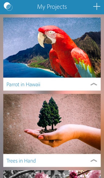 Image 10 for Adobe Photoshop Mix - Cut…
