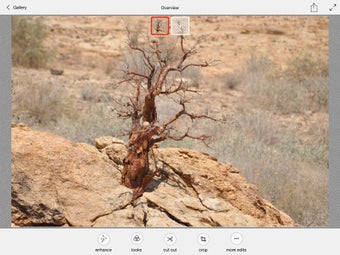 Image 14 for Adobe Photoshop Mix - Cut…
