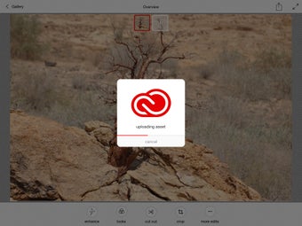 Image 17 for Adobe Photoshop Mix - Cut…