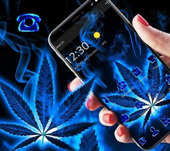 Image 0 for Weed Rasta Magic Blue Bur…