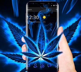 Image 3 for Weed Rasta Magic Blue Bur…