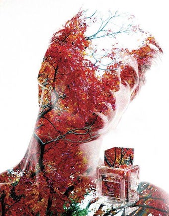 Image 0 for Photo Blending Effect