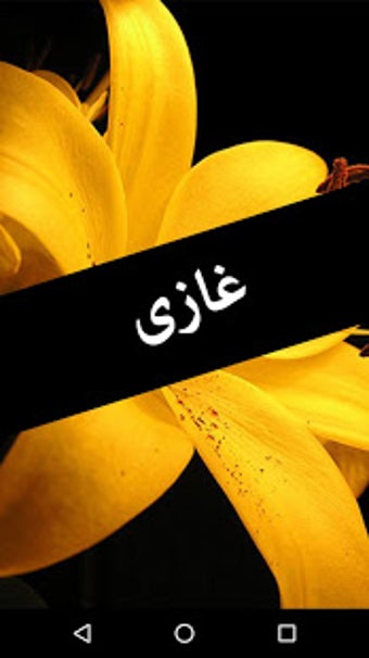 Image 0 for Ghazi by Abu Shuja Abu Wa…