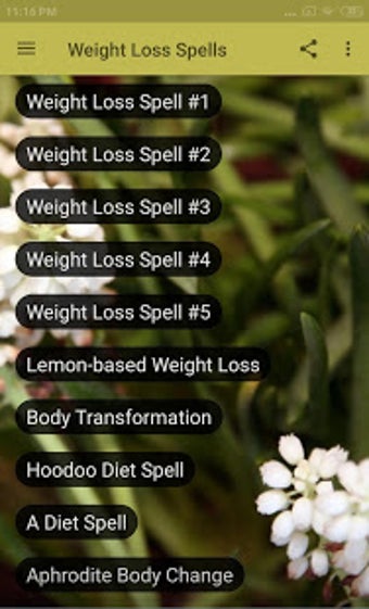 Imagen 2 para WHITE MAGIC: WEIGHT LOSS …
