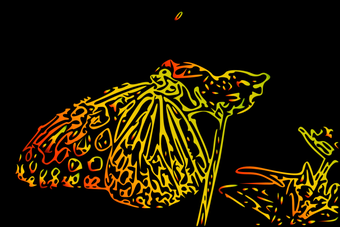 Image 0 for GlowingWay screensaver