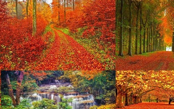 Image 1 for Autumn Wallpaper