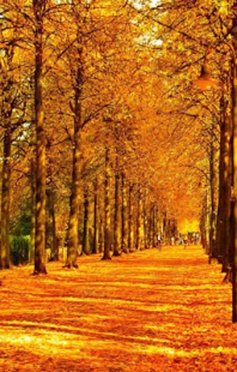 Image 3 for Autumn Wallpaper