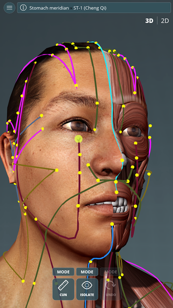 Image 1 for Visual Acupuncture 3D