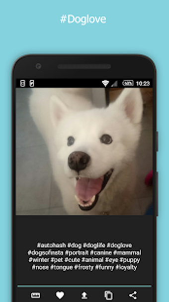 Image 0 for AutoHash