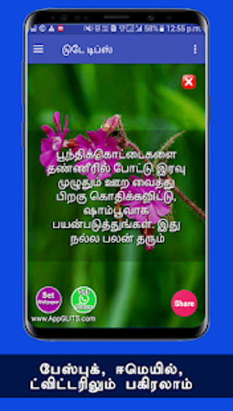 Image 0 for Hair Growth Thalai Mudi V…