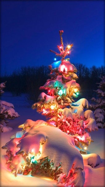 Imagen 1 para Christmas Wallpapers
