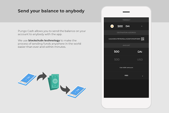 Image 0 for Pungo Wallet