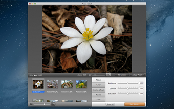 Imagen 0 para Photo Batch