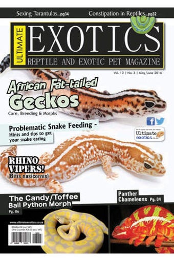 Image 0 for Ultimate Exotics Reptile …