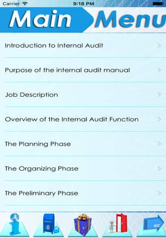 Image 0 for Internal Audit Manual & P…