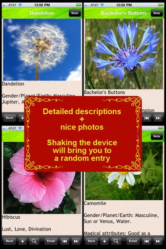 Image 0 for Magical Herbs Bible