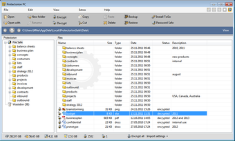 Imagen 1 para Protectorion Data Safe