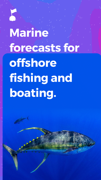 Image 0 for Buoyweather - Accurate Ma…