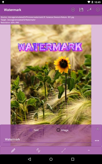 Image 1 for Watermark Free
