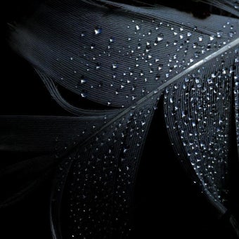 Imagen 3 para Black Live Wallpaper