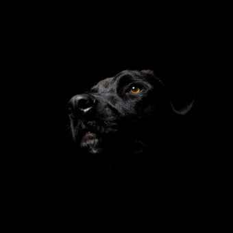 Imagen 4 para Black Live Wallpaper