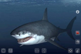 Image 0 for Talking Great White : My …