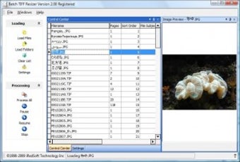 Image 0 for Batch TIFF Resizer