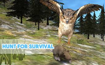 Image 2 for Wild Owl Simulator 3D