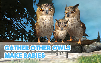Image 0 for Wild Owl Simulator 3D