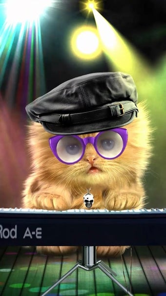 Imagen 0 para Talking baby cat.