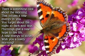 Image 2 for Good Morning Messages And…