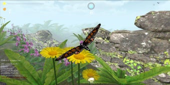 Imagen 1 para Butterfly Game