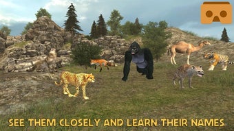 Image 2 for VR Zoo Safari