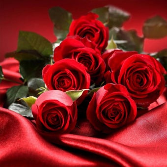 Image 2 for Red Rose Live Wallpaper