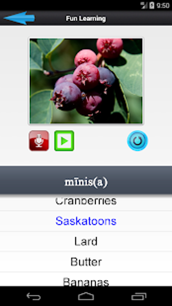 Image 2 for Cree