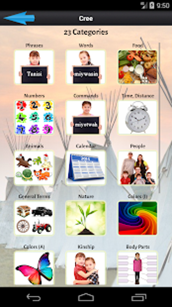 Image 1 for Cree