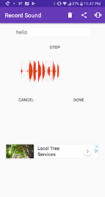 Imagen 0 para Record Sound - Mic Sound …