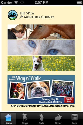 Image 0 for The SPCA