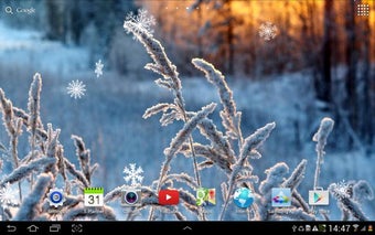 Imagen 3 para Winter Flowers Live Wallp…